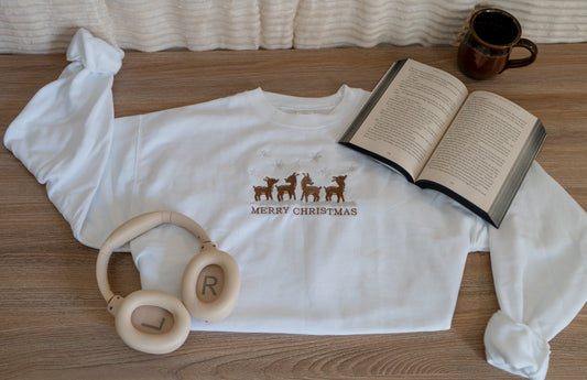 Merry Christmas reindeer hoodie